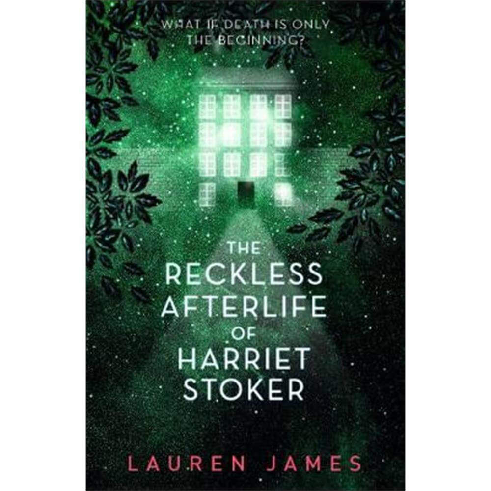 the reckless life of harriet stoker